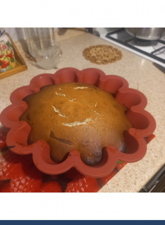 Силиконовая форма для выпечки Ром Баба большая 225•106 мм (Каравай)