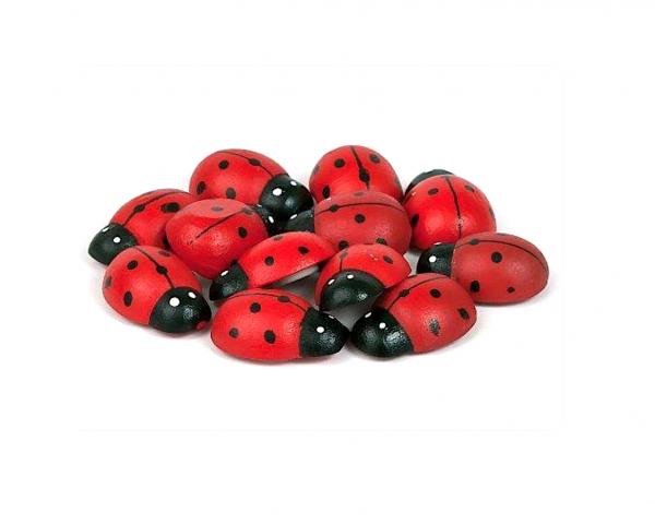 Самоклейка на коробки "божья коровка" 1.8 см, упак. 12 шт Самоклейка на коробки "божья коровка" 1.8 см, упак. 12 шт