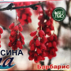 Барбарис красный вяленый 250 гр.-1 кг