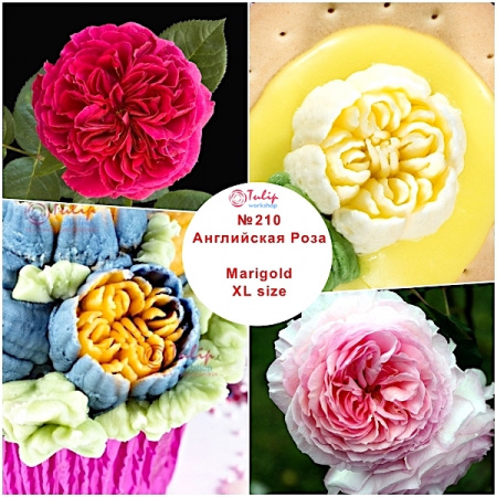 Насадка Малазийский Цветок №310 Английская Роза | XXL размер (Russian Flower Nozzle # 310 - Marigold | XXL size | By Tulip Workshop)